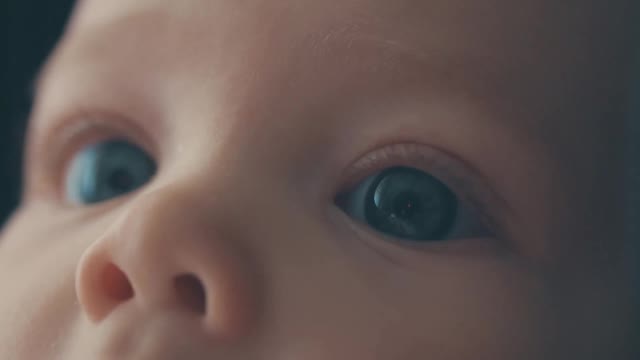 Dr. Diane Hamilton Speaks for Verizon