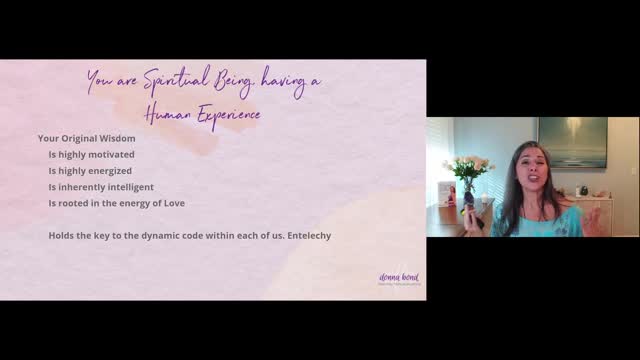 Defining Characteristics Between Your High Self and Human Self