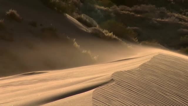 Mastering Real Estate Success: Learn from Coach Mike Secord