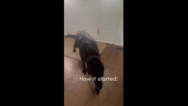 Heidelberg University - Practice to Key Note