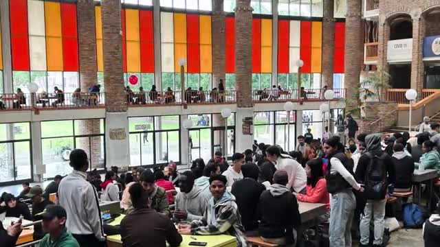 Teaching in the University of Western Cape, Cape Town: Everything You Need to Kn